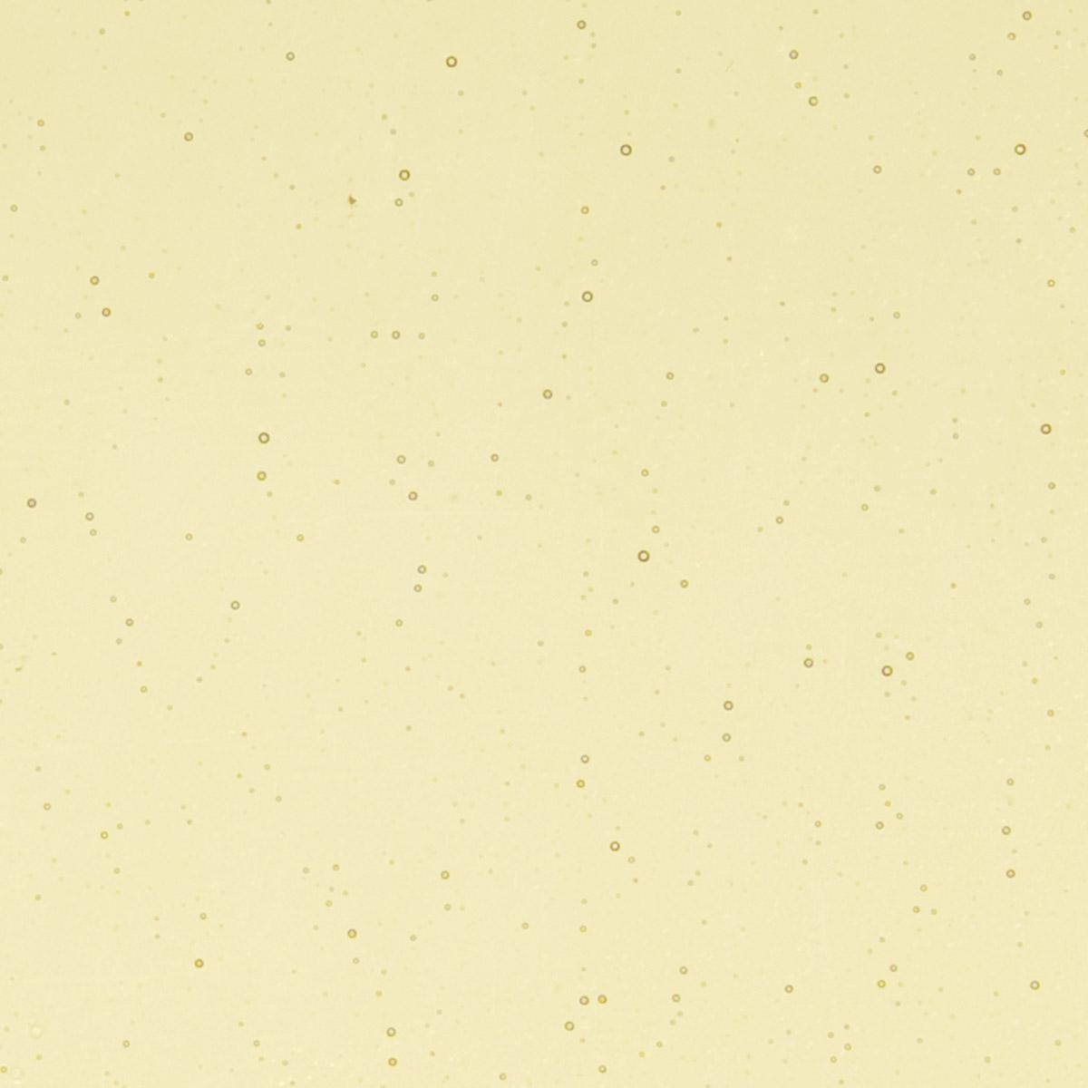 1437 Light Amber Transparent Bullseye 90 COE Glass Sheet 10x10" 90COE Fusible-