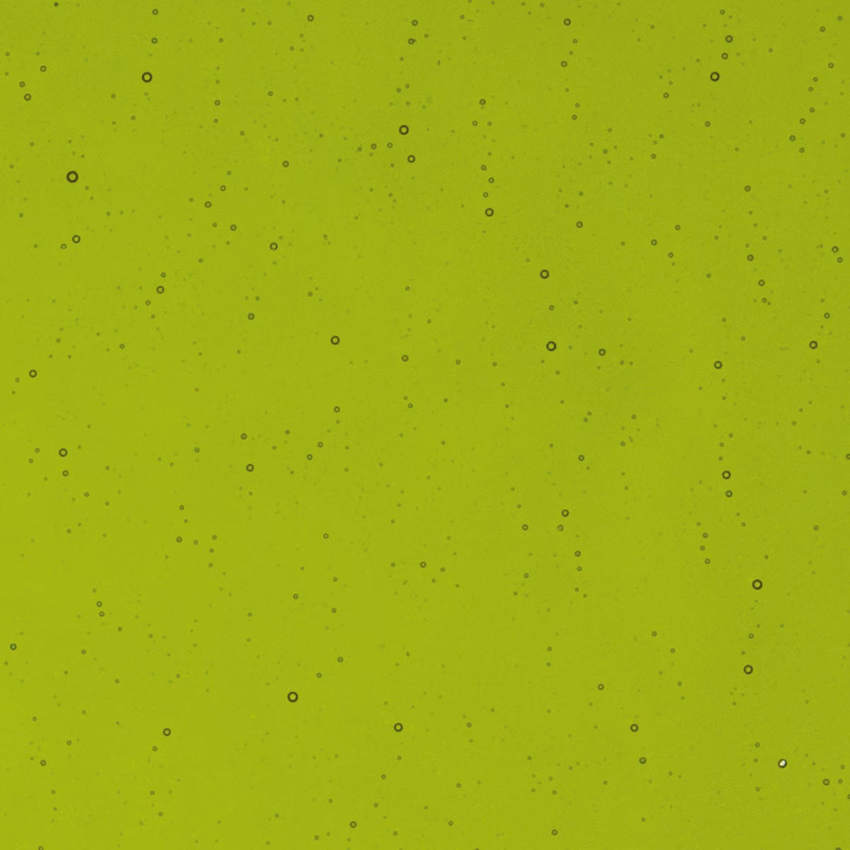 1207 Fern Green Transparent 90 COE Bullseye Fusing Glass Sheet 5x5 inch 3mm Striker 90COE-