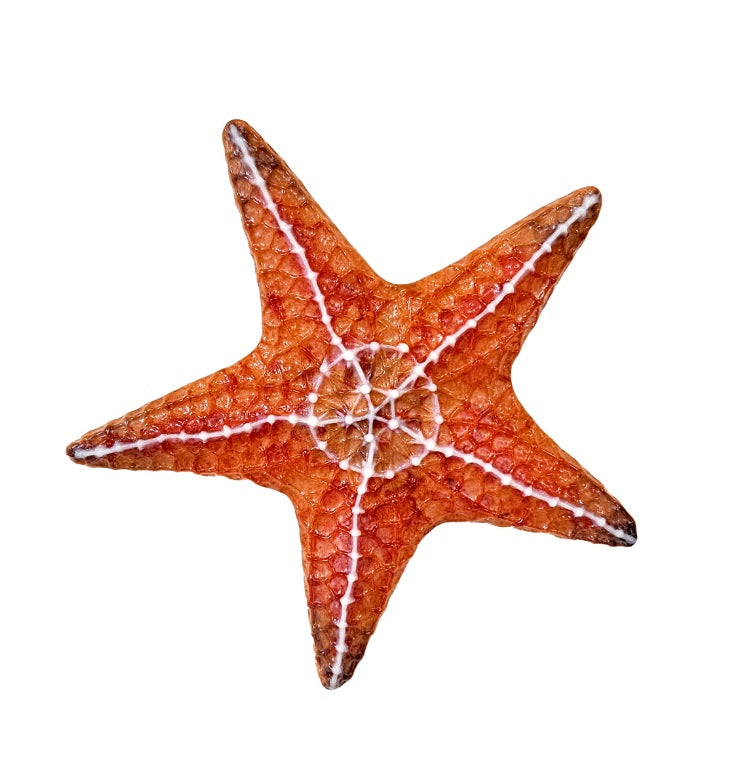 Large Starfish Mold 9.25 x9.25 inches Glass Casting Fusing Supplies Little Fritter 262-