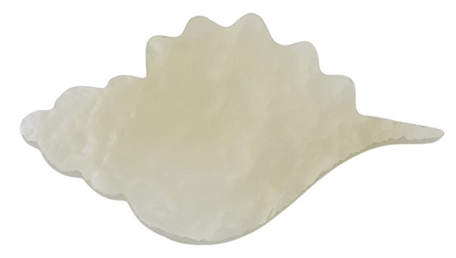 Seashell Sea Shell Glass Precut 90 COE Sea Life Series-