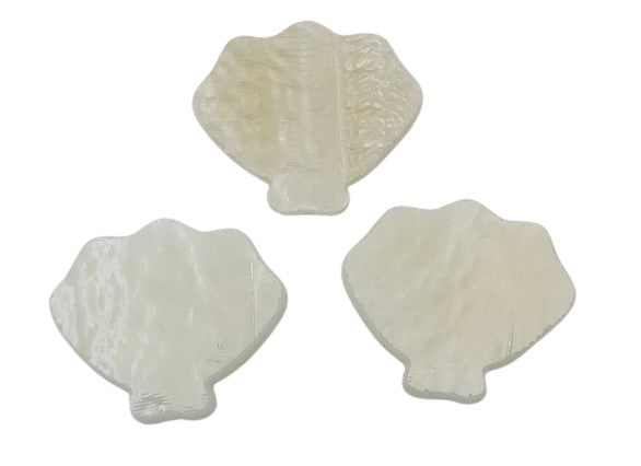 Three Seashells Sea Shell Glass Precut 90 COE Sea Life Series-