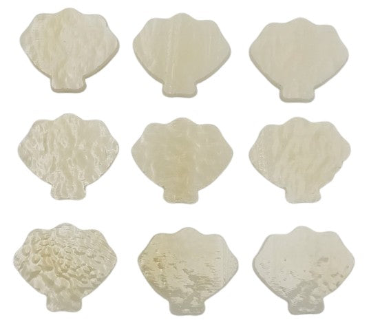 Three Seashells Sea Shell Glass Precut 90 COE Sea Life Series-