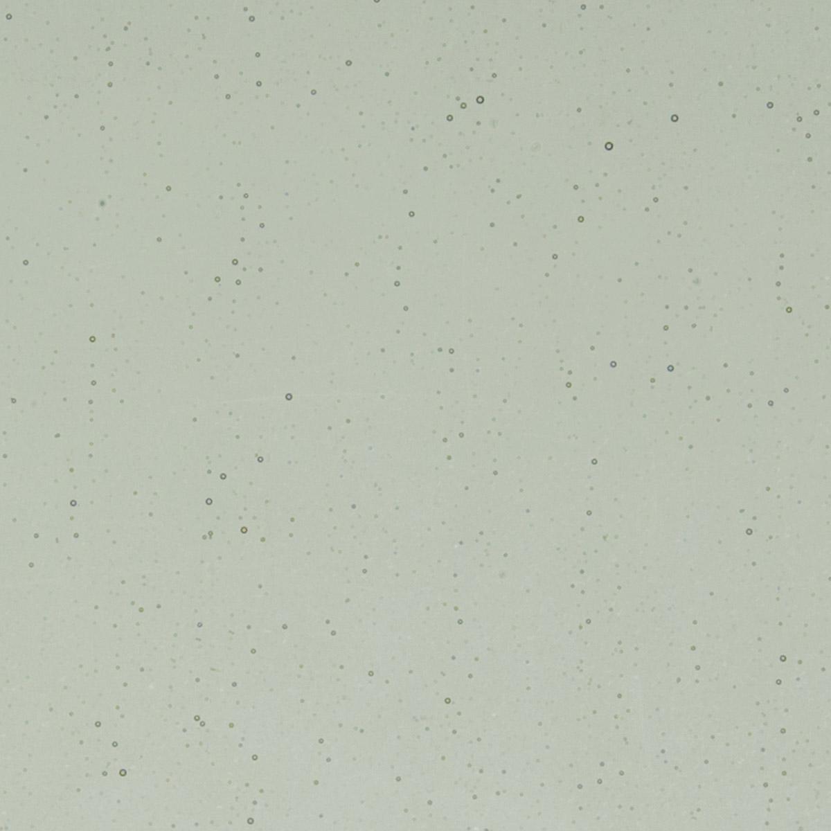 1429 Light Silver Gray Transparent Bullseye 90 COE Glass Sheet 10x10" 90COE Fusing Supplies-