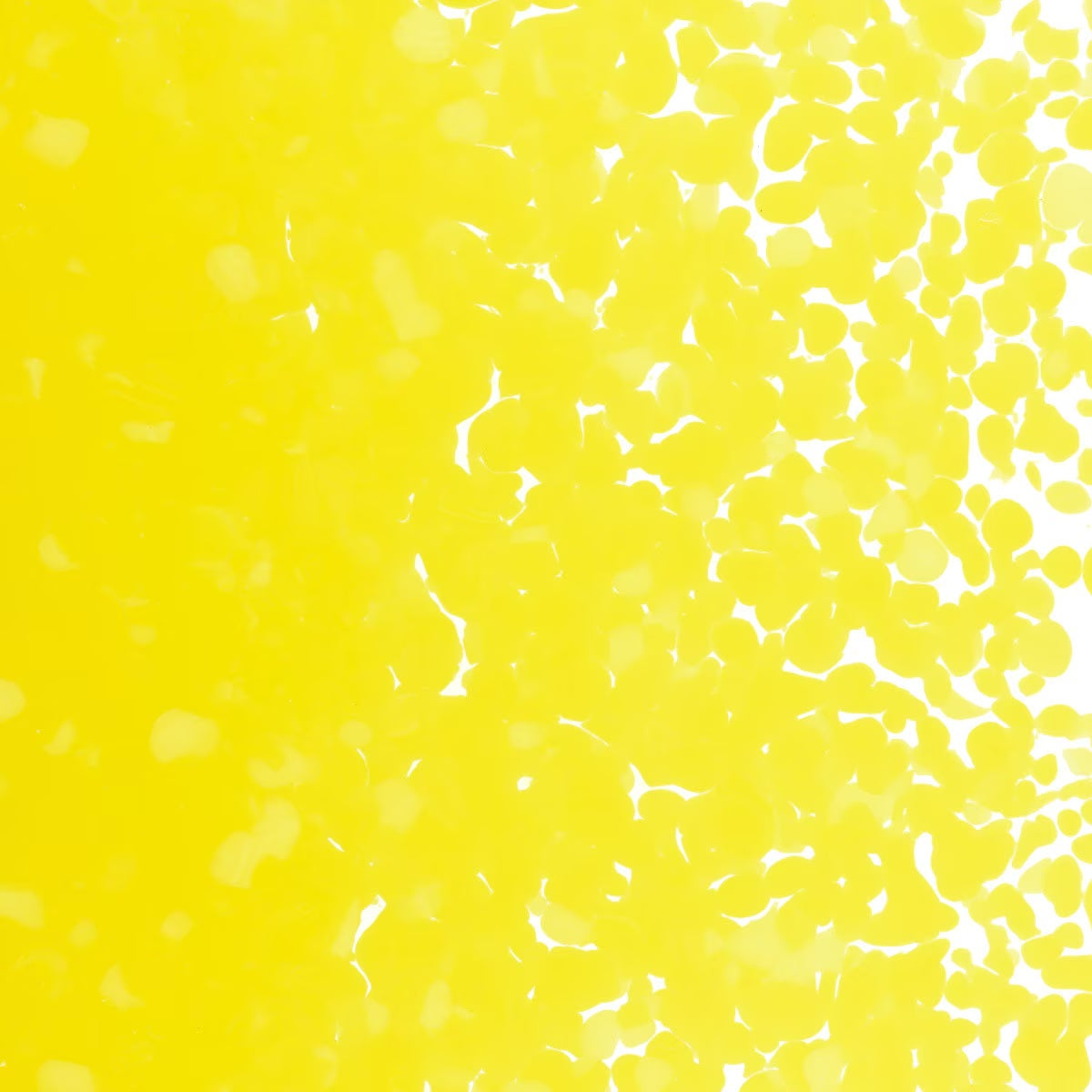 0120 Canary Yellow Opal 90 COE MEDIUM Full Jar One Pound Bullseye Frit-
