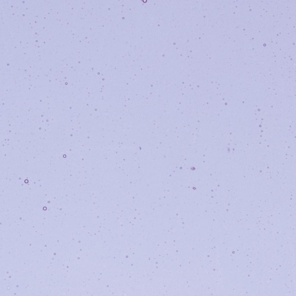 1442 Neo Lavender Shift Transparent 90 COE Bullseye Fusing Glass Sheet 5x5 inch 3mm 90COE-