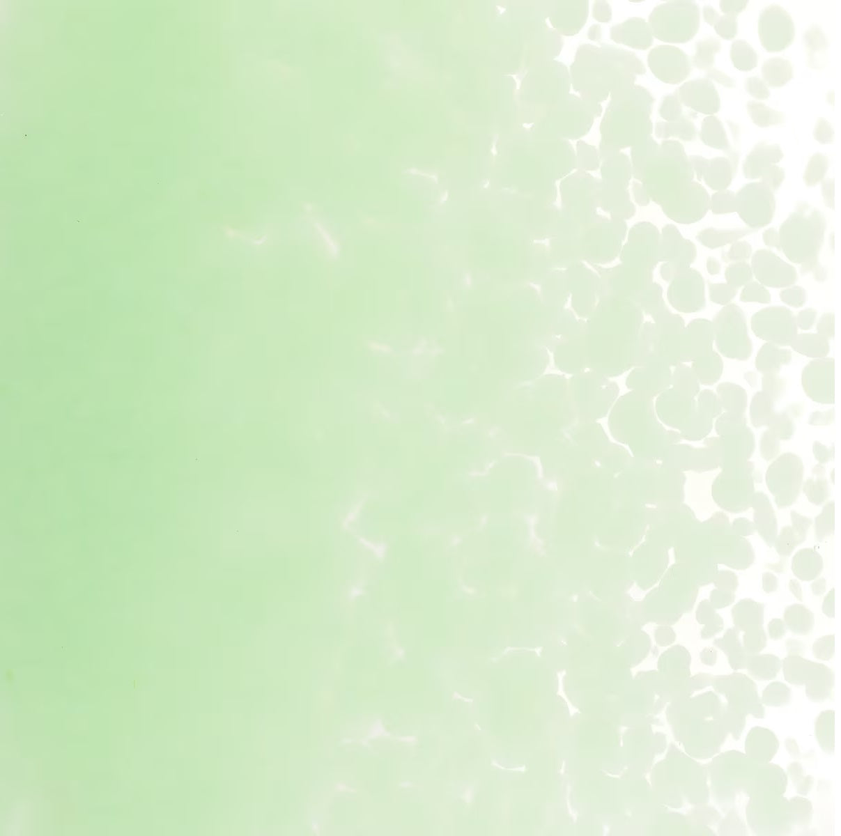 0112 Mint Green Opal 90 COE MEDIUM Full Jar One Pound Bullseye Frit-
