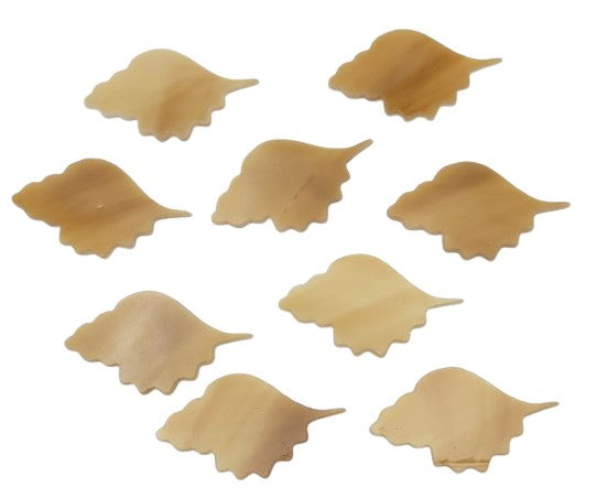 Seashell Shell Glass Precut 96 COE Sea Life Series-