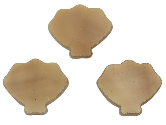 Three Seashells Clam Shells Small Glass Precut 96 COE Sea Life Series-