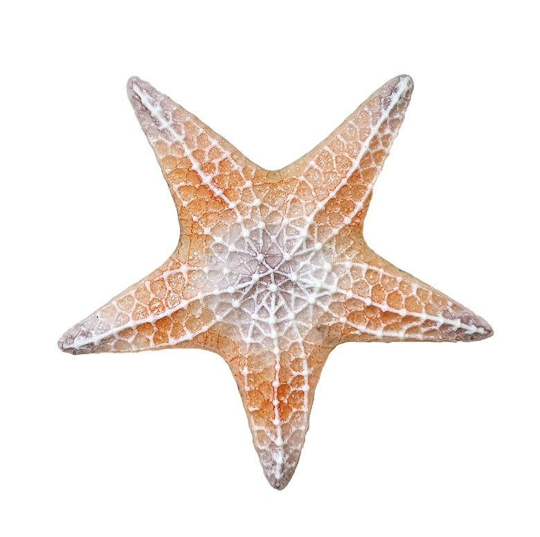 Large Starfish Mold 9.25 x9.25 inches Glass Casting Fusing Supplies Little Fritter 262-
