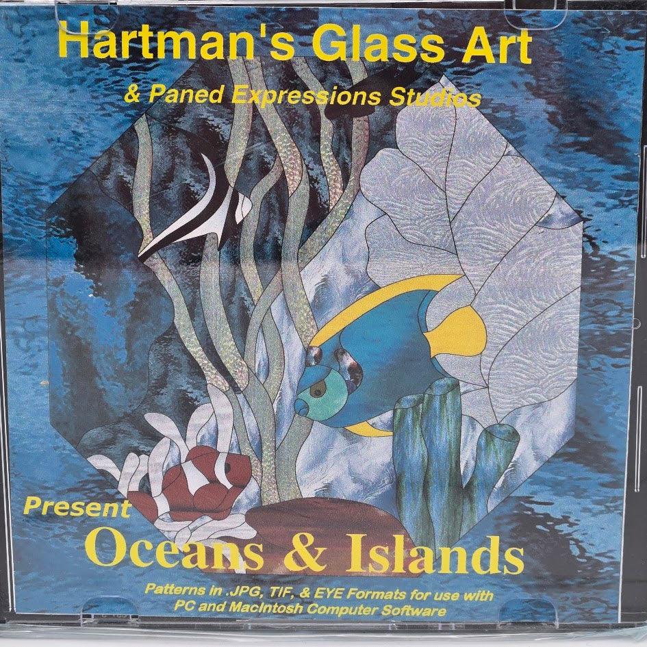 OCEANS & ISLANDS Fish Paned Expressions Book on CD 60+ Great Patterns-
