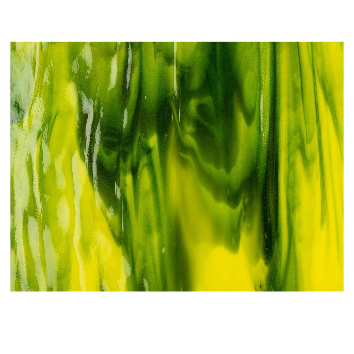 2121 Yellow Opalescent, Deep Forest Green Transparent 2-Color Mix Bullseye 90 COE Glass Sheet 10x10" 90COE Fusible-