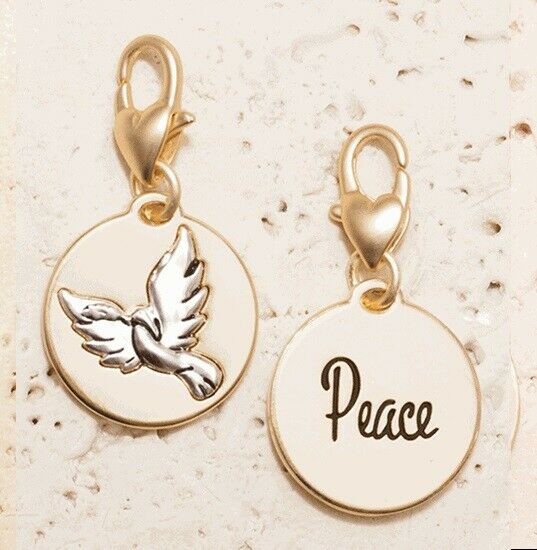 Peace Dove 2-sided Gold & Silver Amanda Blu Clip On Charm Bird Encouragement-