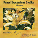 FLOWERS OF ELYSE Paned Expressions Pattern Book On CD Floral
