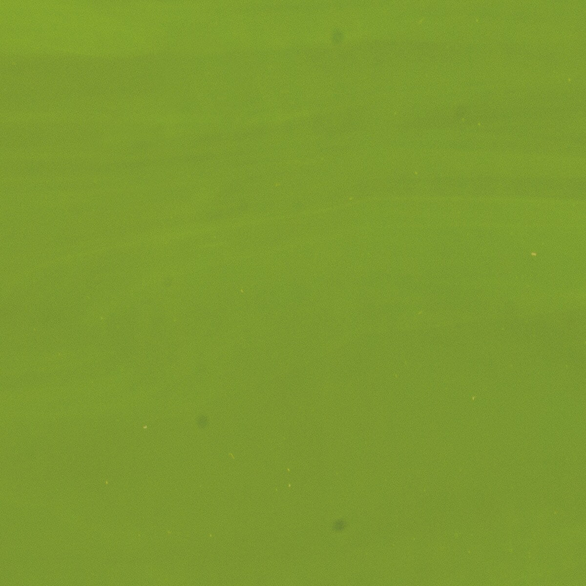 0222 Avocado Green Opal 90 COE Bullseye Fusing Glass Sheet 5x5 inch- 