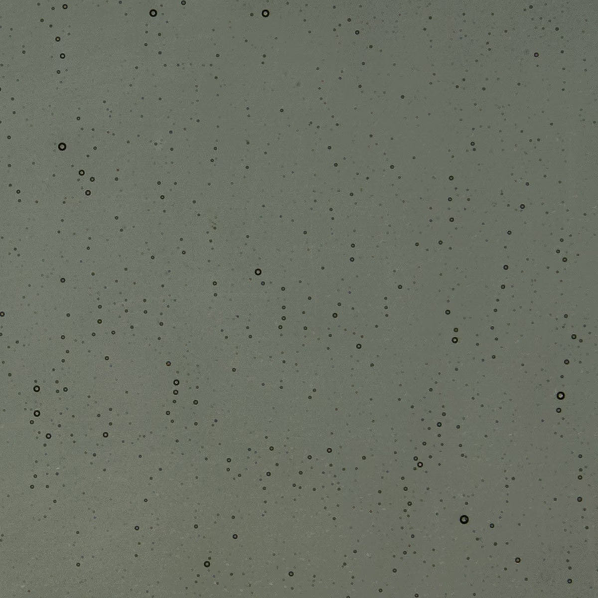 1129 Charcoal Gray Transparent 90 COE Bullseye Fusing Glass Sheet 5x5 inch- 