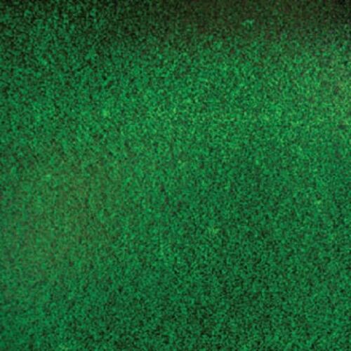 Shorty Aventurine Green 128AV 96 COE Sheet Glass- 