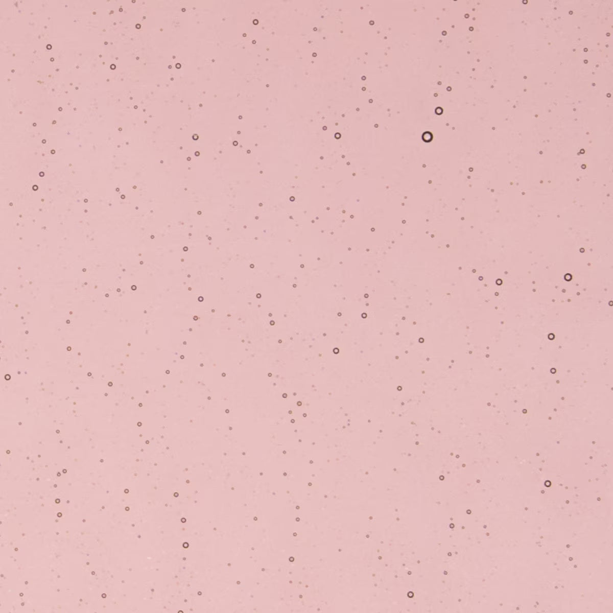 Shorty 1405 Light Plum Transparent 90 COE Bullseye Fusing Glass Sheet- 