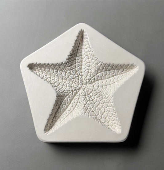 Large Starfish Mold 9.25 x9.25 inches Glass Casting Fusing Supplies Little Fritter 262- 
