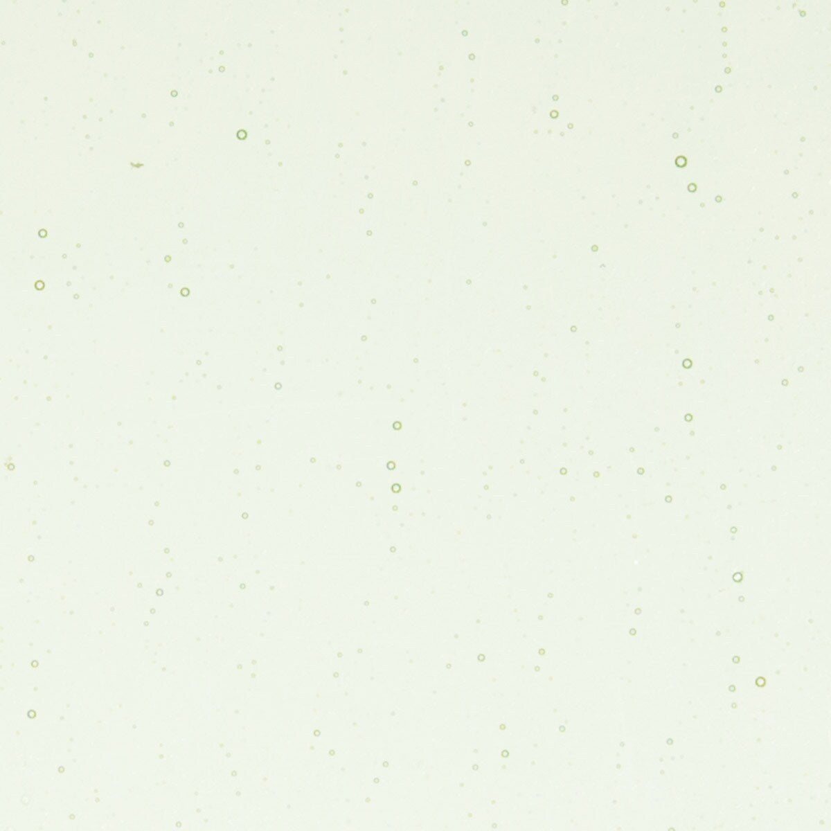 1807 Grass Green Tint Transparent Bullseye 90 COE Glass Sheet 10x10" 90COE- 