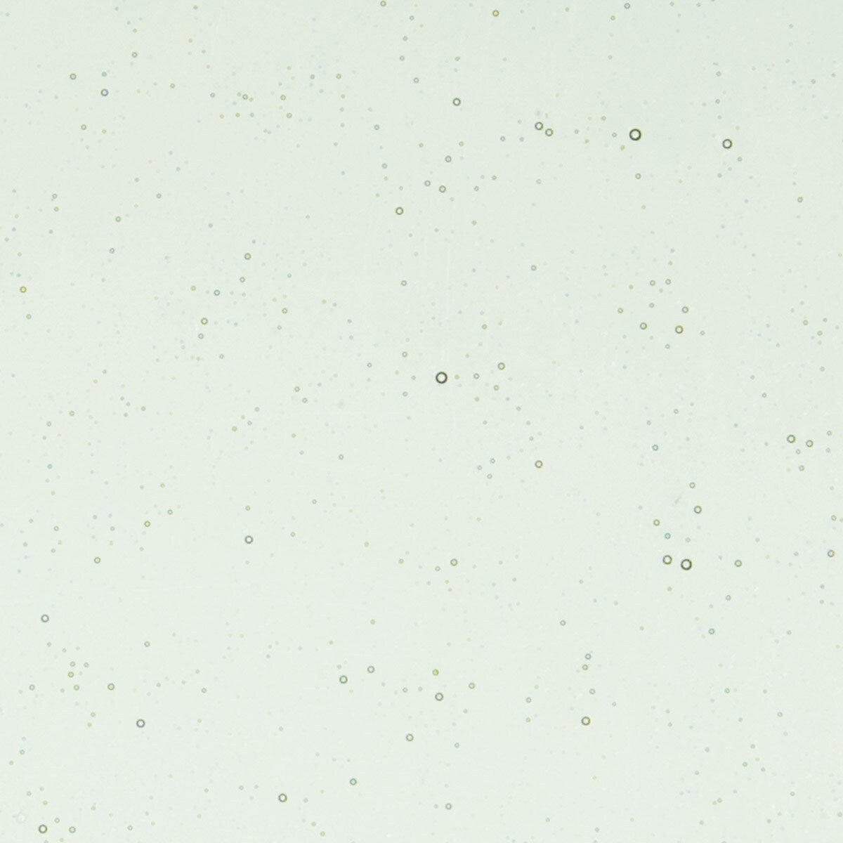 1841 Spruce Green Tint Transparent 90 COE Bullseye Fusing Glass Sheet 5x5 inch 3mm- 
