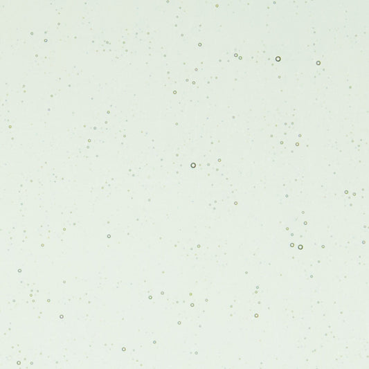 1841 Spruce Green Tint Transparent 90 COE Bullseye Fusing Glass Sheet 5x5 inch 3mm- 