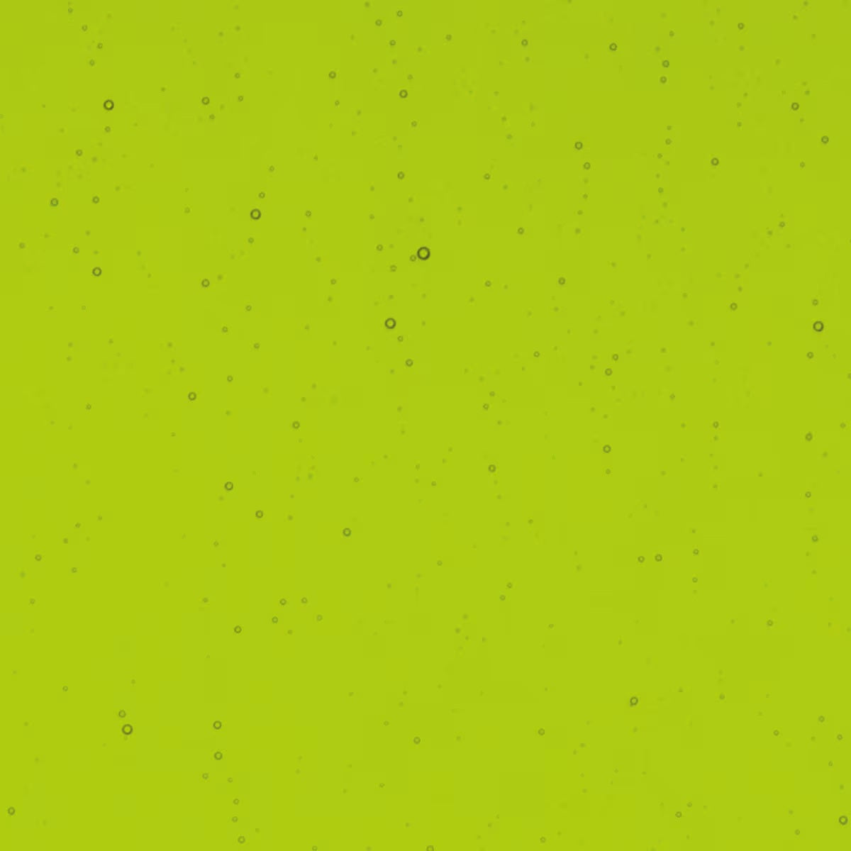 1426 Spring Green Transparent Bullseye 90 COE Glass Sheet 10x10" 90COE Fusible- 