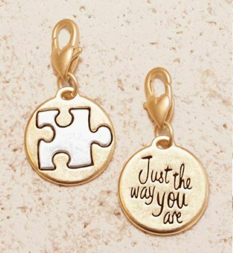 Just the Way You Are Autism Awareness two-tone two-sided Charm Amanda Blu- 