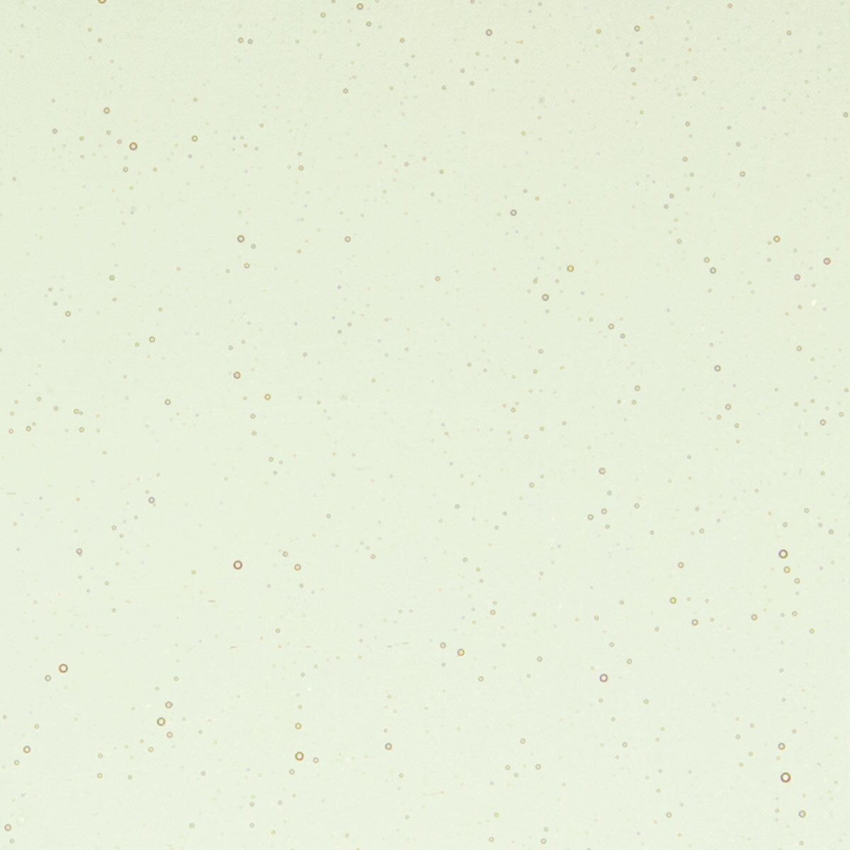 1859 Rhubarb Shift Tint Transparent 90 COE Bullseye Fusing Glass Sheet 5x5 inch 3mm 90COE- 