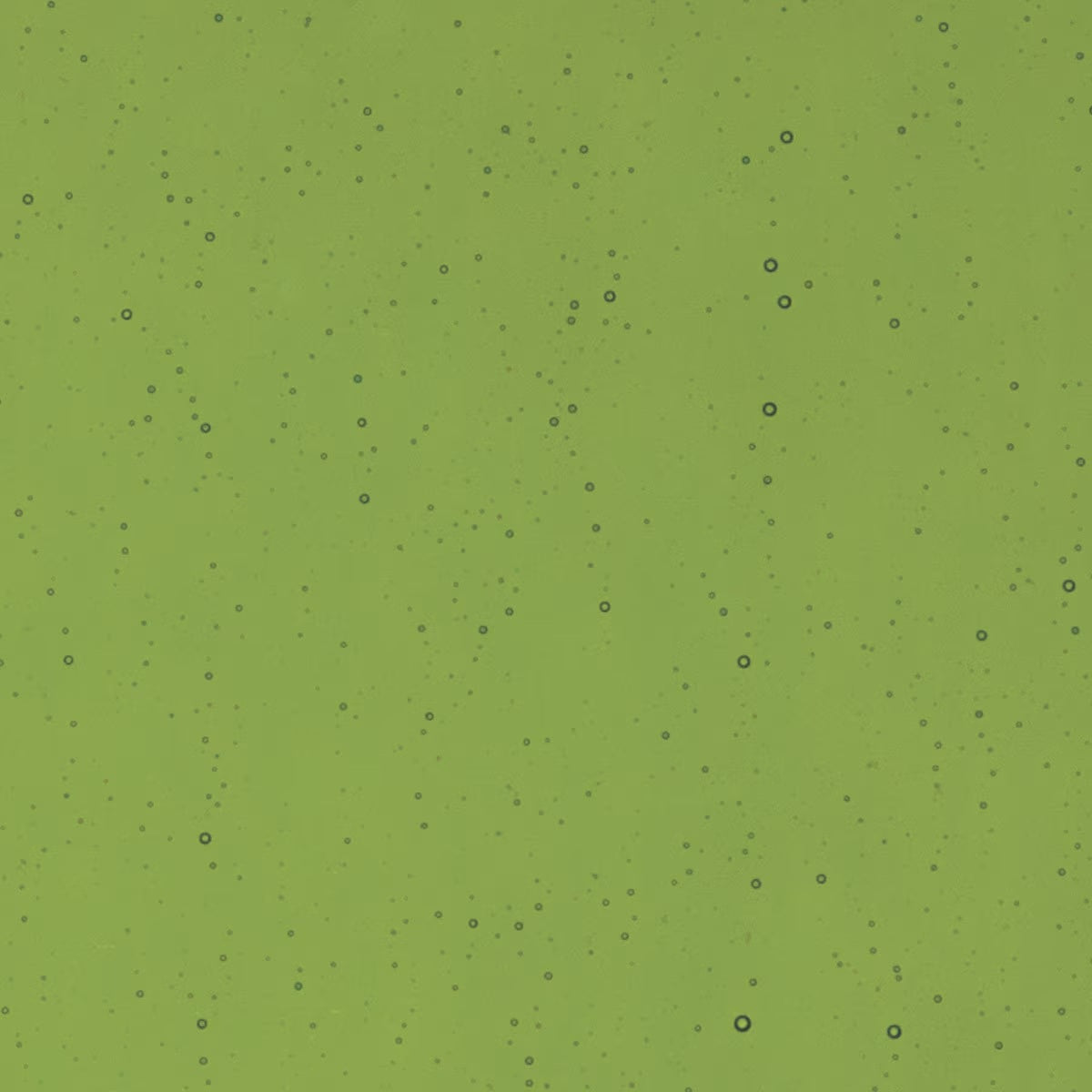 1141 31 Olive Green Transparent Iridized Bullseye 90 COE Glass Sheet 10x10"- 