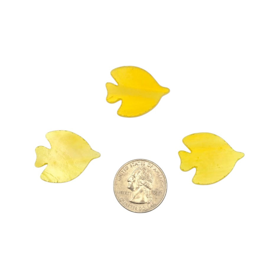 Three Yellow White Tang Fish Glass Precut 96 COE Sea Life Series Fusing Shapes- 