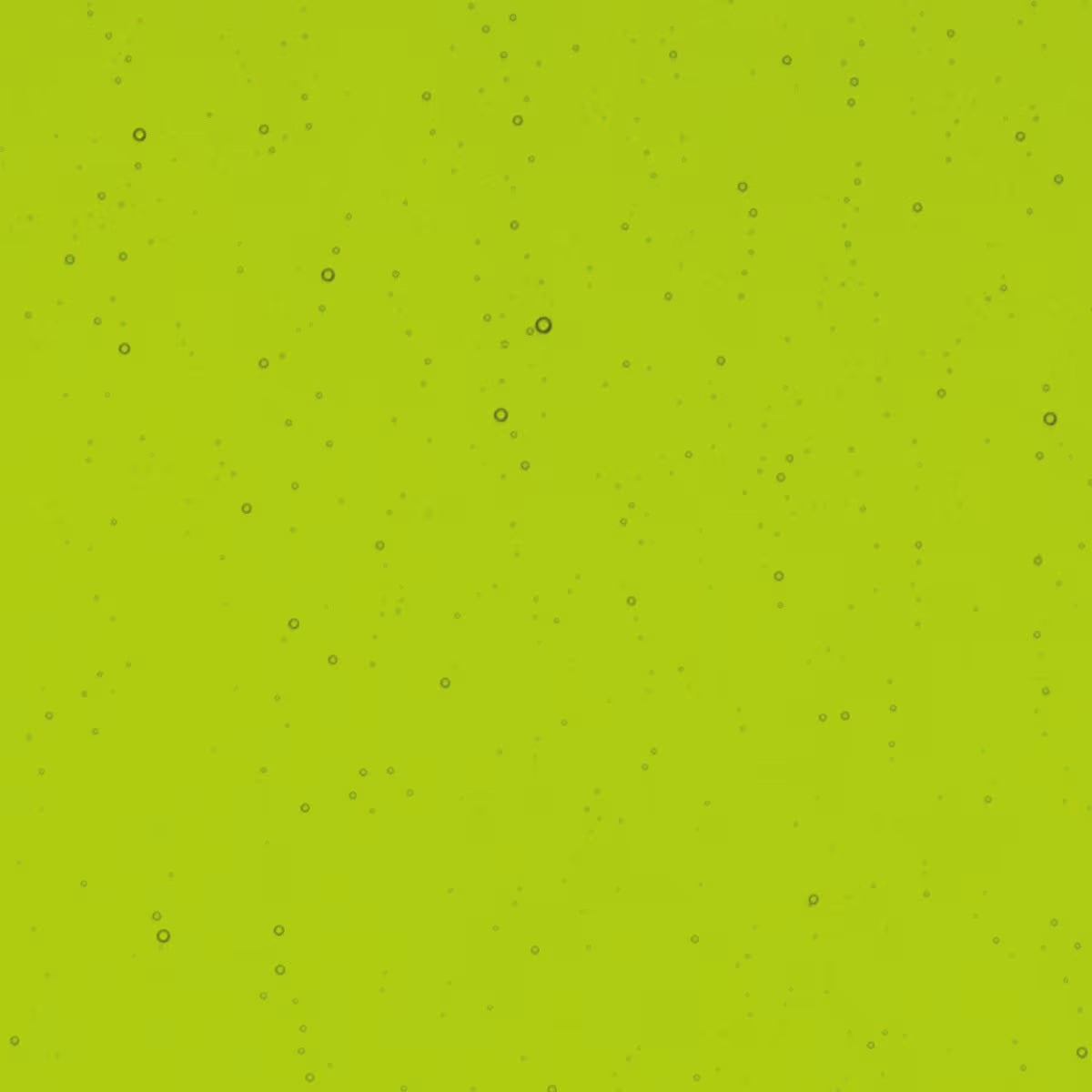 1426 Spring Green Transparent FINE Full Jar 16 ounces 90 COE Bullseye Frit Fusing Supplies Glass 90COE- 