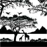 Choice ANIMAL NATURE Glass Enamel Fusing Decal Trees Fish Birds Deer Heron Bear-Style & Size Giraffes Jungle 1.5" x 1.5"