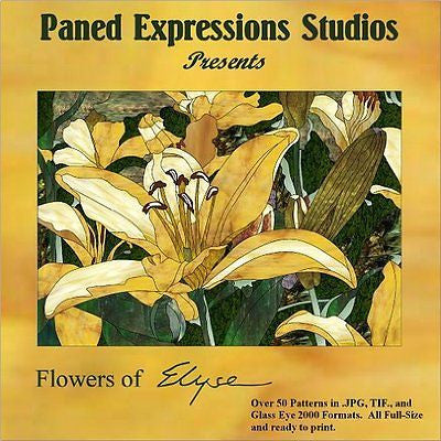 FLOWERS OF ELYSE Paned Expressions Pattern Book On CD Floral- 
